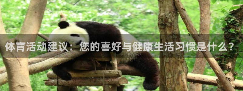24体育直播网官网：体育活动建议：您的喜好与健康生活习惯是什么？