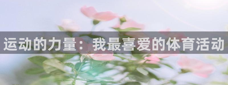 24体育免费直播nba：运动的力量：我最喜爱的体育活动