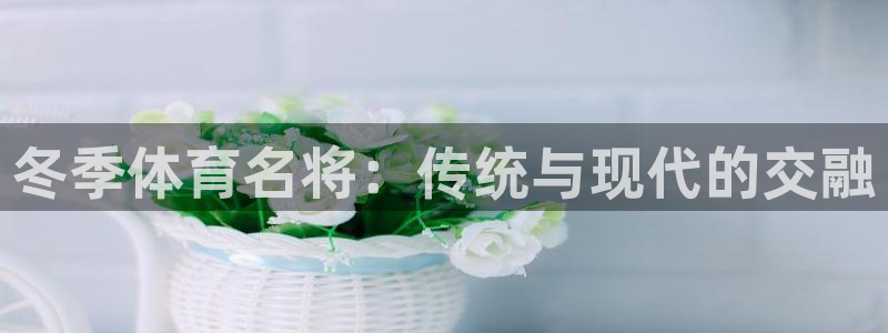 2024体育比赛：冬季体育名将：传统与现代的交融